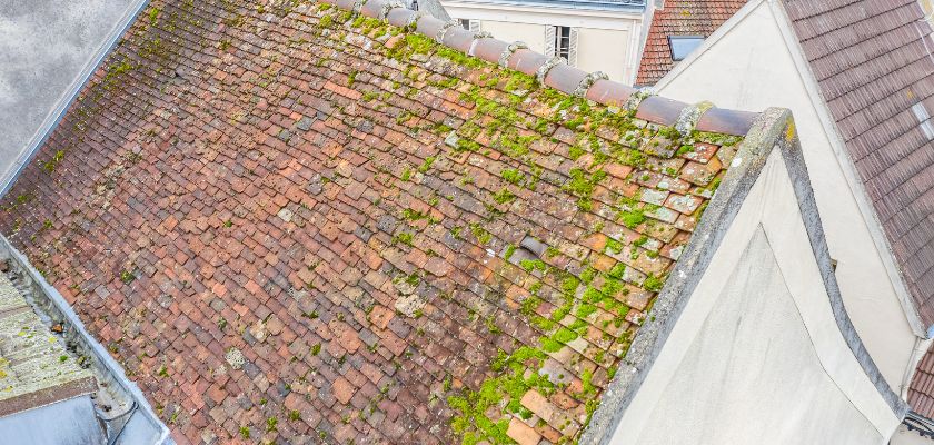 Roof Replacement Signs You Shouldnt Ignore